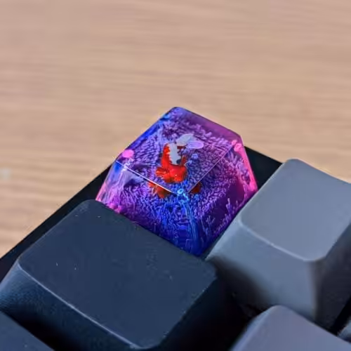 0chev61zrbn51