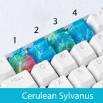Cerulean Sylvanus
