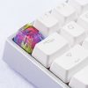 20180619 - Jelly Key - Product - Jelly Eden - 0024 (Copy)