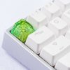 20180619 - Jelly Key - Product - Jelly Eden - 0054 (Copy)