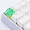 20180619 - Jelly Key - Product - Jelly Eden - 0059 (Copy)