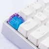 20180619 - Jelly Key - Product - Jelly Eden - 0079 (Copy)