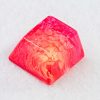 20180619 - Jelly Key - Product - Jelly Eden - 0091 (Copy)