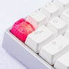20180619 - Jelly Key - Product - Jelly Eden - 0094 (Copy)