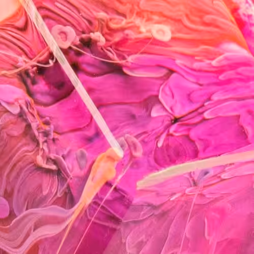 Jelly Eden artisan keycaps by Jelly Key