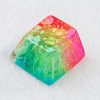 20180619 - Jelly Key - Product - Jelly Eden - 0111 (Copy)