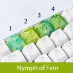 Nymph of Fern