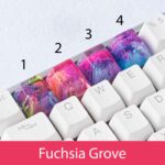 Fuchsia Grove