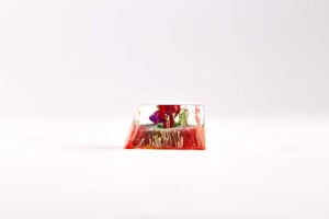 A Betta Saga artisan keycaps by Jelly Key