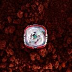 Multiverse Cabin Crew