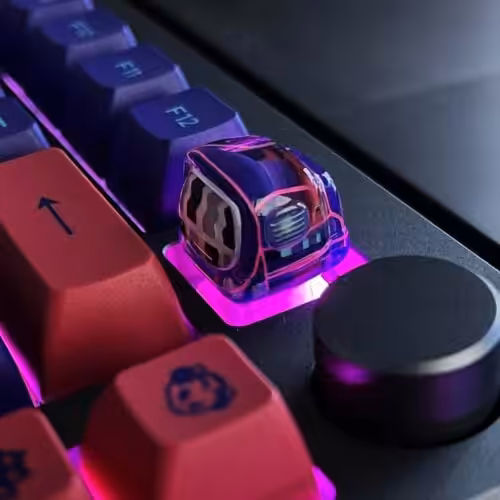 278392813 2625180394283515 2230150983033401513 n
