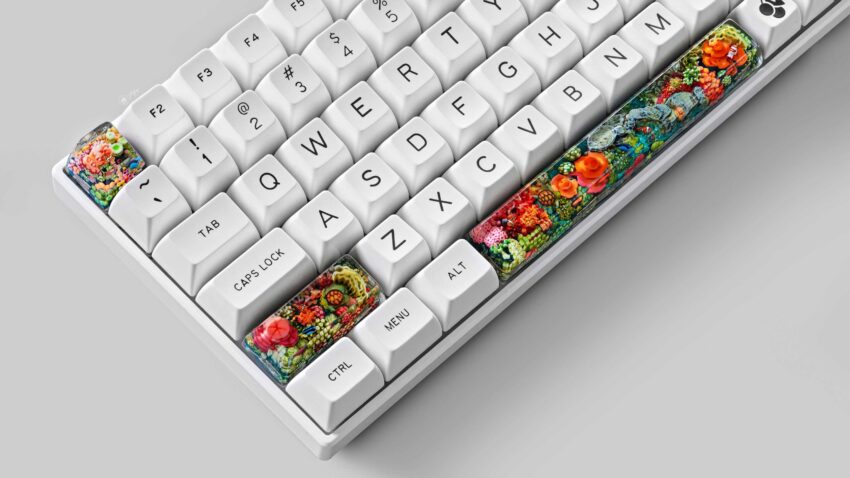 4k keyboards coral oases