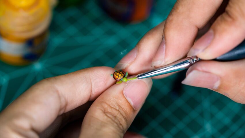 4k making coral oases