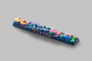 coral oases custom keycaps 0962