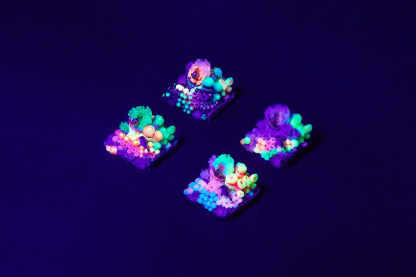 coral oases custom keycaps 0970
