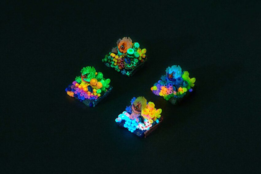 coral oases custom keycaps 0971