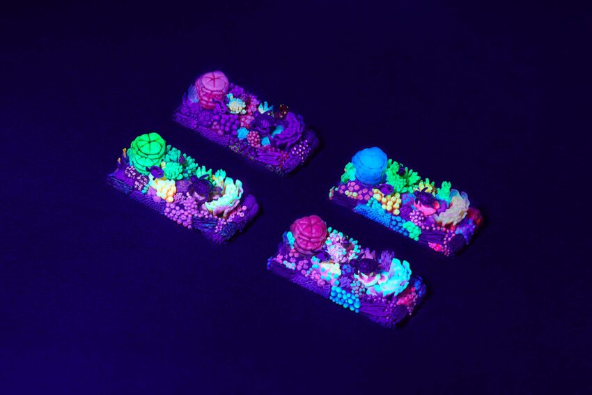 coral oases custom keycaps 0973