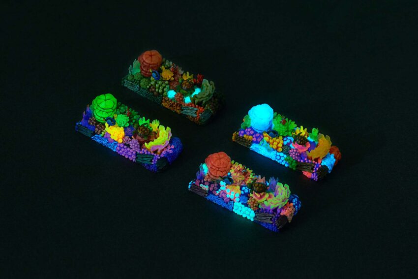 coral oases custom keycaps 0974
