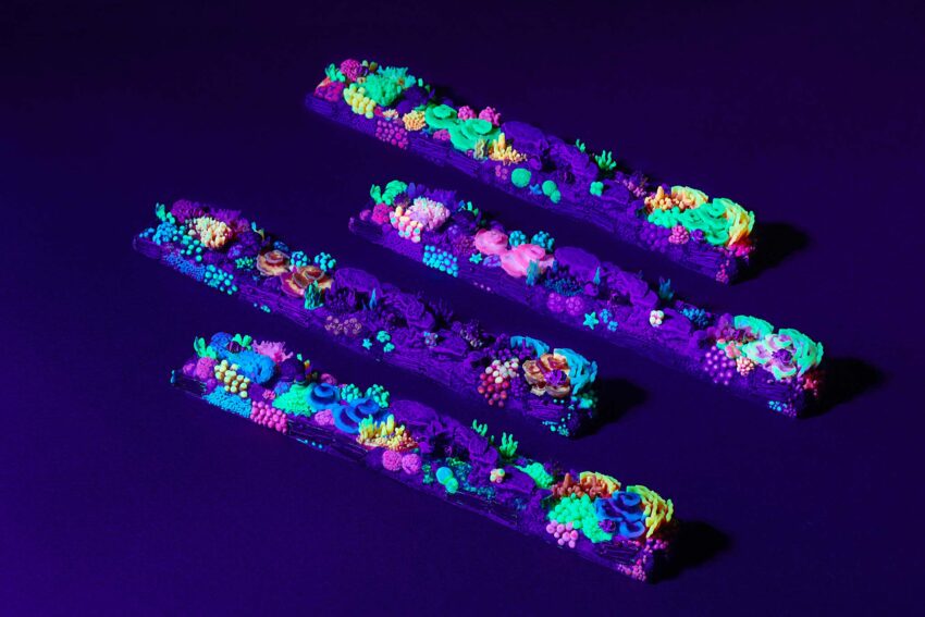 coral oases custom keycaps 0976