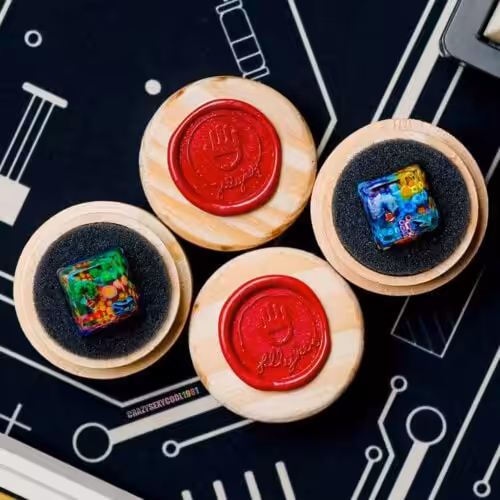 336355646 2999532313675701 3106297564558247459 n