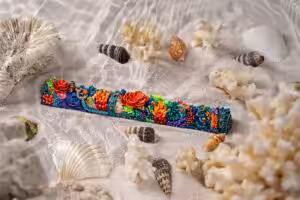 jelly key coral odyssey artisan keycaps 2038