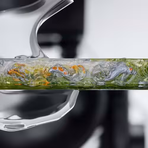 jellykey zenpond customs keycaps 79080