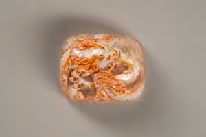jellykey dragon eden ethereal runes customs keycaps d114