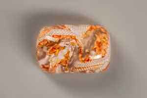 jellykey dragon eden ethereal runes customs keycaps d115