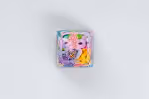 jellykey new coral custom keycaps 008