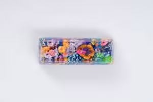 jellykey new coral custom keycaps 032
