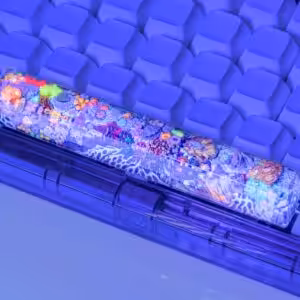 jellykey new coral custom keycaps 165