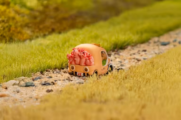 jellykey wheelworlds harvest customs keycaps 821