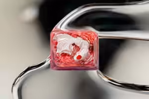 jellykey zenpond edenflow customs keycaps 065