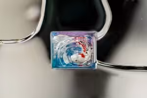 jellykey zenpond edenflow customs keycaps 070