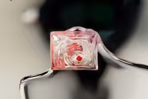 jellykey zenpond edenflow customs keycaps 071