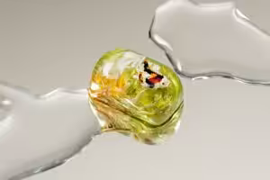 jellykey zenpond edenflow customs keycaps 075