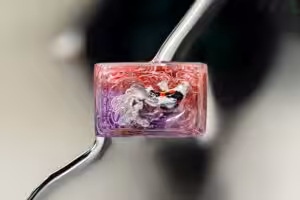 jellykey zenpond edenflow customs keycaps 101