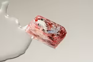 jellykey zenpond edenflow customs keycaps 120