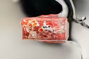 jellykey zenpond edenflow customs keycaps 174