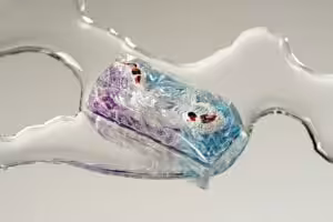 jellykey zenpond edenflow customs keycaps 196