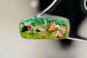 jellykey zenpond edenflow customs keycaps 200