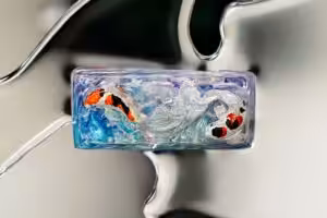 jellykey zenpond edenflow customs keycaps 208