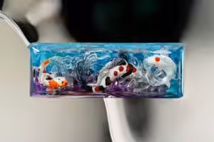 jellykey zenpond edenflow customs keycaps 250