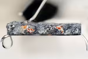 jellykey zenpond edenflow customs keycaps 277