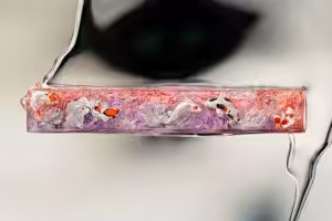 jellykey zenpond edenflow customs keycaps 281