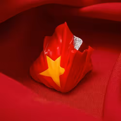 jellykey vietnam customs keycaps 010
