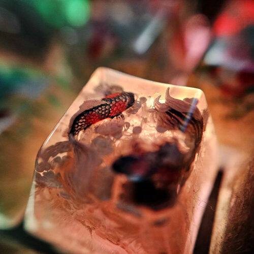 By Cryptokid on DIscord