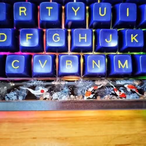 86826124 10157091476920998 5028370001589960704 O
