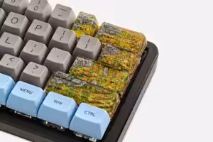 Bornofforest73
