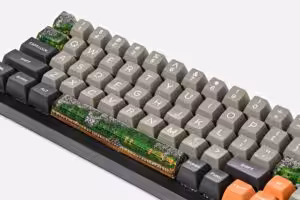 Bornofforest83